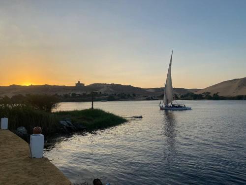 阿斯旺Nile View Guest House的水面上的帆船,背景是日落