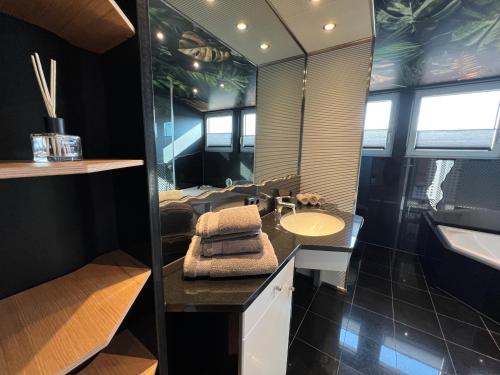 罗丁Luxus Loft über den Dächern von Roding的一间带水槽和镜子的浴室