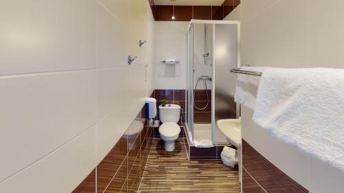 埃维昂莱班法兰西康塔克酒店的一间带卫生间和淋浴的小浴室