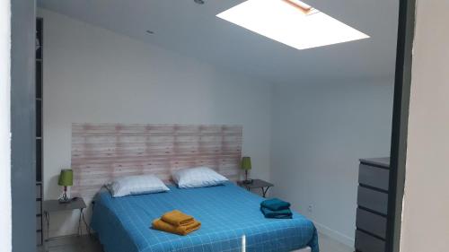 帕拉瓦莱弗洛Le Transat的一间卧室设有蓝色的床和天窗