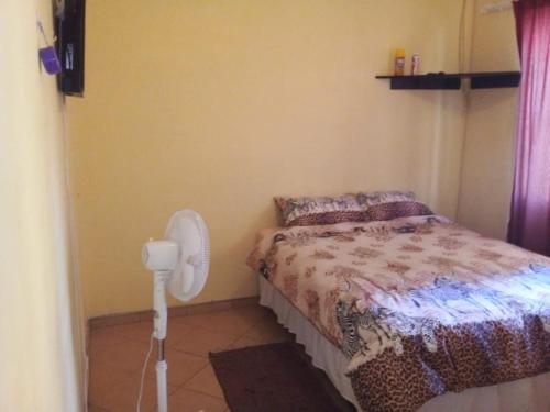 AcademiaToke homestay nr 37 omatjene street Cimbabacia的一间带一张床和风扇的小卧室