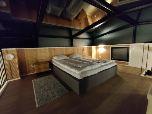 列维Levin Primus的一间带大床和电视的卧室
