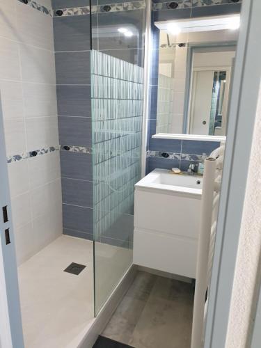 乌瑞基尼Domaine de Bordaberry的带淋浴、盥洗盆和镜子的浴室