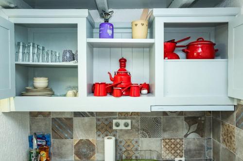 AvgonymaAvgonima Chios Spitakia Cottages的装满红锅碗瓢盆的厨房柜