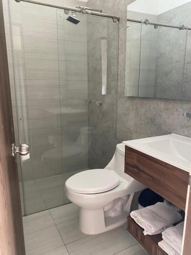 梅尔加HOTEL MELGAR PLAZA的带淋浴、卫生间和盥洗盆的浴室
