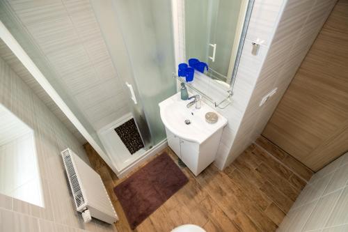 博希尼Apartment Žvan的浴室设有白色水槽和镜子