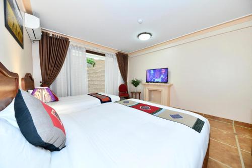 萨帕Sapa Symphony Hotel的一间卧室配有两张床和电视