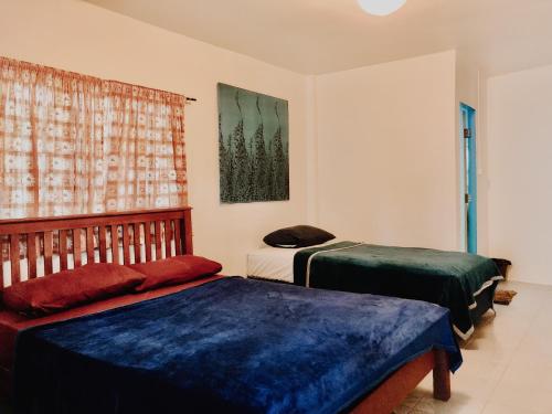 班拉克海滩Green Garden的客房设有两张床、一张沙发和一个窗口。