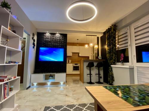 马佐夫舍地区新庄园Studio Modlin的客厅配有大屏幕平面电视