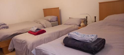 Abū DīsLazarus Guest House的一间卧室配有两张带毛巾的床