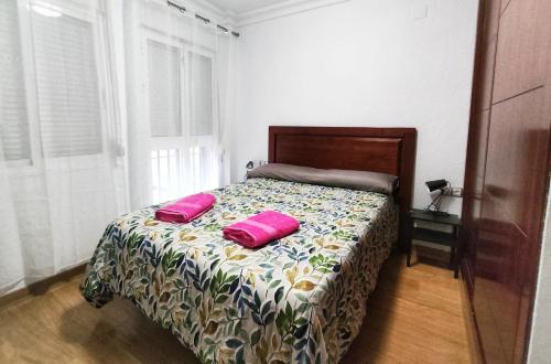 韦尔瓦Apartamento con PARKING gratis en CENTRO, Merced的一间卧室配有一张带两个粉红色枕头的床