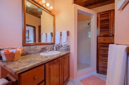圣佩德罗Coral Bay Villas的一间带水槽、镜子和淋浴的浴室