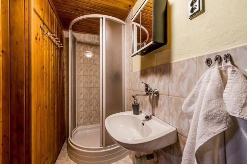 LučivnáOld Fashioned Cottage in Lopusna dolina near High Tatras的一间带水槽、淋浴和卫生间的浴室
