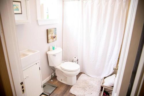 普罗维登斯521 Smith Steet LLC的浴室设有卫生间和白色的淋浴帘