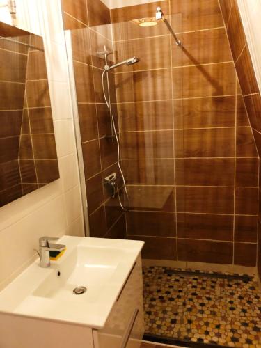 舍诺夫Chambres d'Hôte Dijon Clair de Lune的带淋浴和白色盥洗盆的浴室