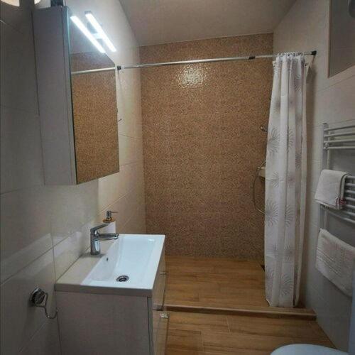 锡盖特堡Kis Ház Apartman的浴室配有白色水槽和淋浴。