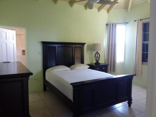 Tortola IslandAbigail's Sunflower Entire 2 Bedroom Apt的一间卧室配有一张大床和木制床头板