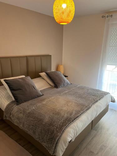 塞里斯Superbe appartement très confortable的一间卧室配有一张带灯具的大床