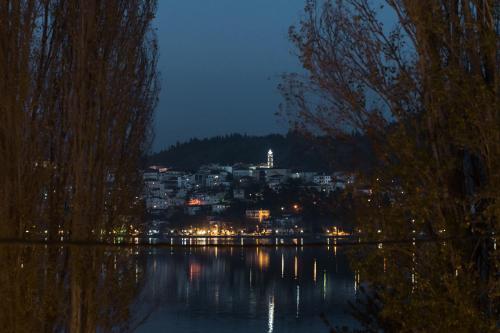 卡斯托里亚view kastoria的夜晚从湖泊欣赏到城市美景