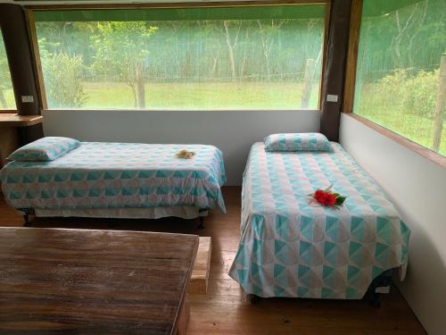 萨武萨武Fiji Fishing Holiday Bure的带窗户的客房内的两张床