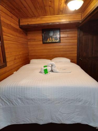圣赫拉多德多塔Tail's room的一间卧室配有一张白色的床,上面有绿盒子