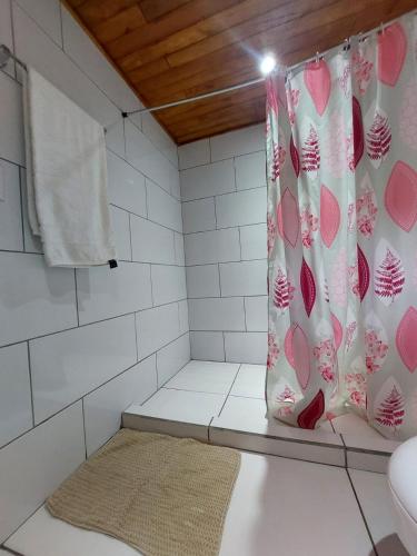 圣赫拉多德多塔Tail's room的带淋浴帘和地毯的浴室