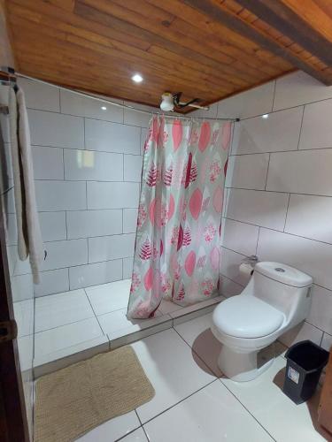 圣赫拉多德多塔Tail's room的一间带卫生间和淋浴帘的浴室