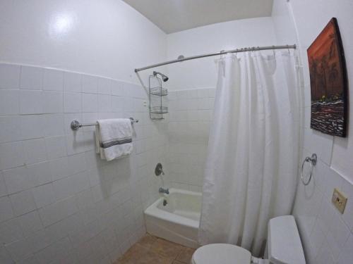 卡沃罗霍Beachfront Apartment In Joyuda With Pool And Basketball Court的浴室配有白色的浴帘和卫生间