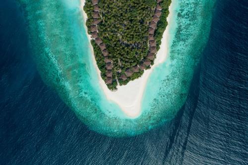 芭环礁Avani Plus Fares Maldives Resort - 50 percent off on Seaplane transfer for minimum 7-nightstay till 22 Dec 2024的海洋中一个心形岛