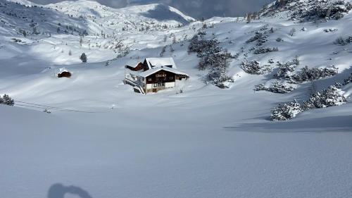 冬天的Gjaid-Alm 1738m am Dachstein-Krippenstein