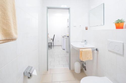 弗莱堡Haus Emona - Ihre Pension in Freiburg的白色的浴室设有卫生间和水槽。