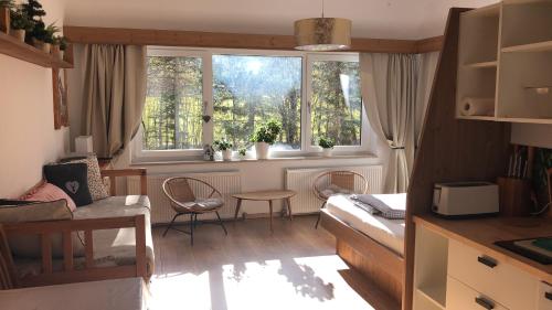 斯卡尔尼茨Karwendel-Lodge的客厅设有2扇窗户和桌椅