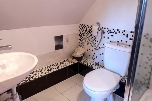 索斯诺夫卡Ranczo Spełnionych Marzeń的浴室配有白色卫生间和盥洗盆。
