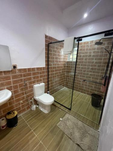 AbeokutaVilla Sofia的一间带卫生间和玻璃淋浴间的浴室