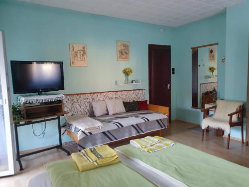 维谢格拉德佩雷茨莱伊旅馆的客房设有两张床和一台平面电视。