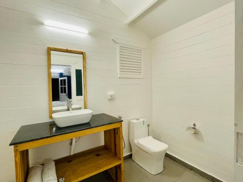 帕罗林Cocos Beach Resort的一间带水槽和卫生间的浴室