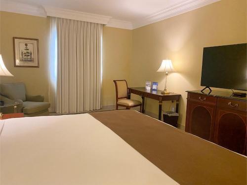 巴兰基亚草原酒店的配有一张床和一台平面电视的酒店客房