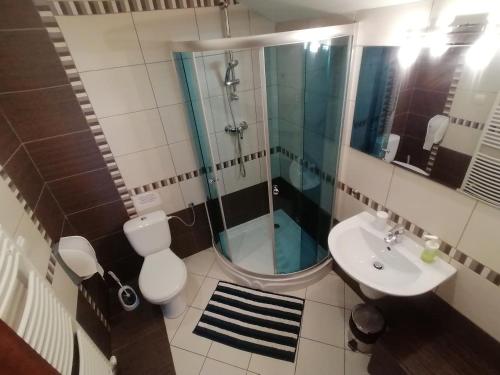 GelnicaPenzión Turzov的带淋浴、卫生间和盥洗盆的浴室