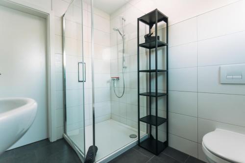 德绍Das Schlafgut Dessau的带淋浴、卫生间和盥洗盆的浴室
