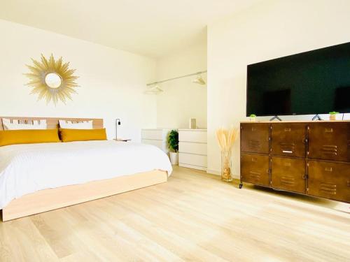 卢加诺Casa Vitus的一间卧室配有一张大床和一台大电视