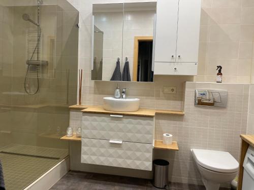 维尔纽斯Panoramic Apartment Vilnius的一间带水槽、卫生间和淋浴的浴室