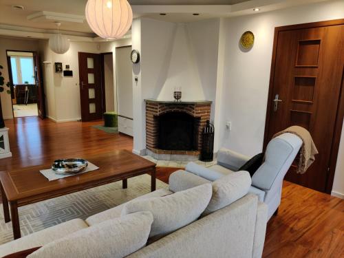 卡特琳娜霍尔姆Luxury apartment 130 m2的客厅设有两张沙发和一个壁炉