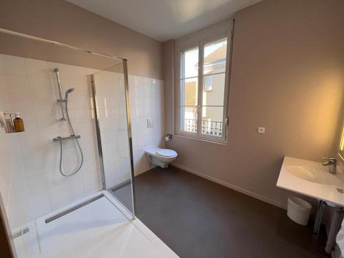 香槟沙隆波特戴塔尹酒店的带淋浴、卫生间和盥洗盆的浴室