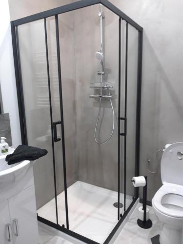 尚贝里CURIAL INSOLITE的设有带卫生间的浴室内的淋浴间