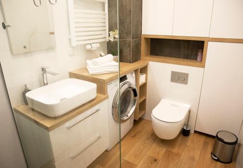 格但斯克Luxus Apartament Rodzinny z sauną i siłownią的一间带水槽和洗衣机的浴室