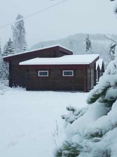 HammarstrandAmmeråns Fiskecamp的雪地小屋,有雪地覆盖的院子