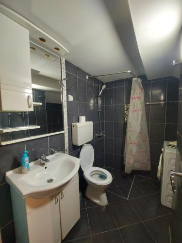 贝尔格莱德K2 Apartment的一间带水槽、卫生间和镜子的浴室