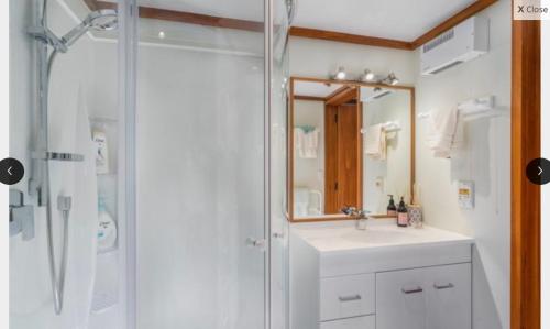 陶波Lake View Garden Apartment的带淋浴、盥洗盆和镜子的浴室