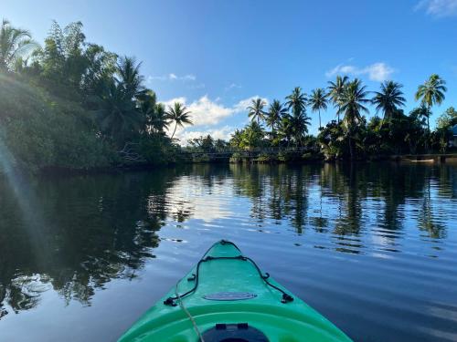 太平洋港Orchid Island B&B on the River with Pool & Jetty的一条种有棕榈树的河上绿色的皮艇