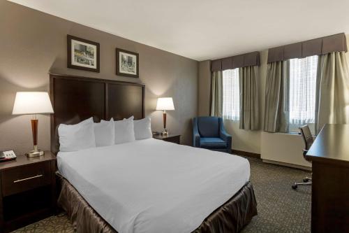 布鲁克林贝斯维斯特格雷戈里酒店的酒店客房带大床和蓝椅